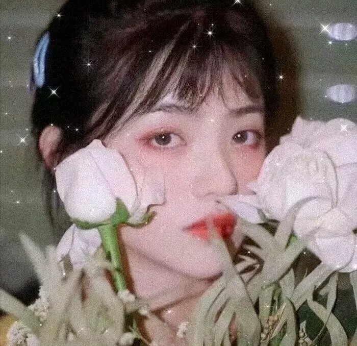 华丽的假期